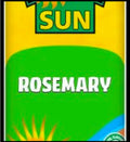 Rosemary